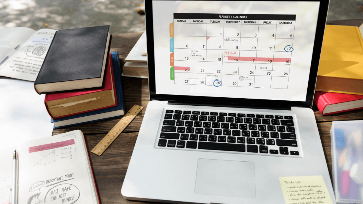 Florida visual data 5