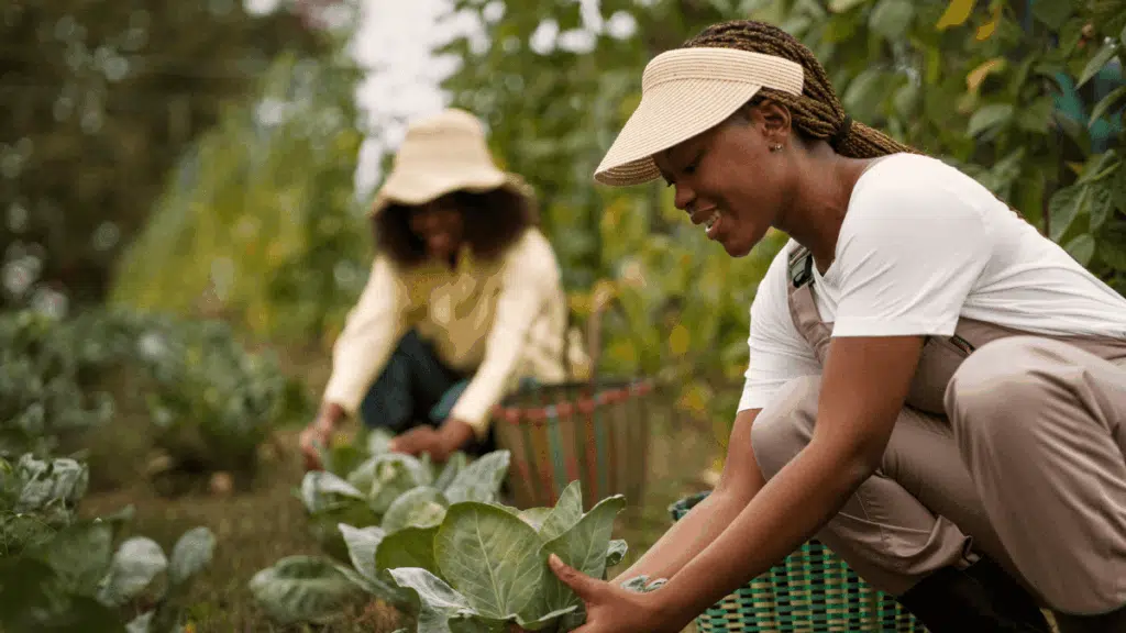 Vastfontein Farm Work Integrated Learning Programme