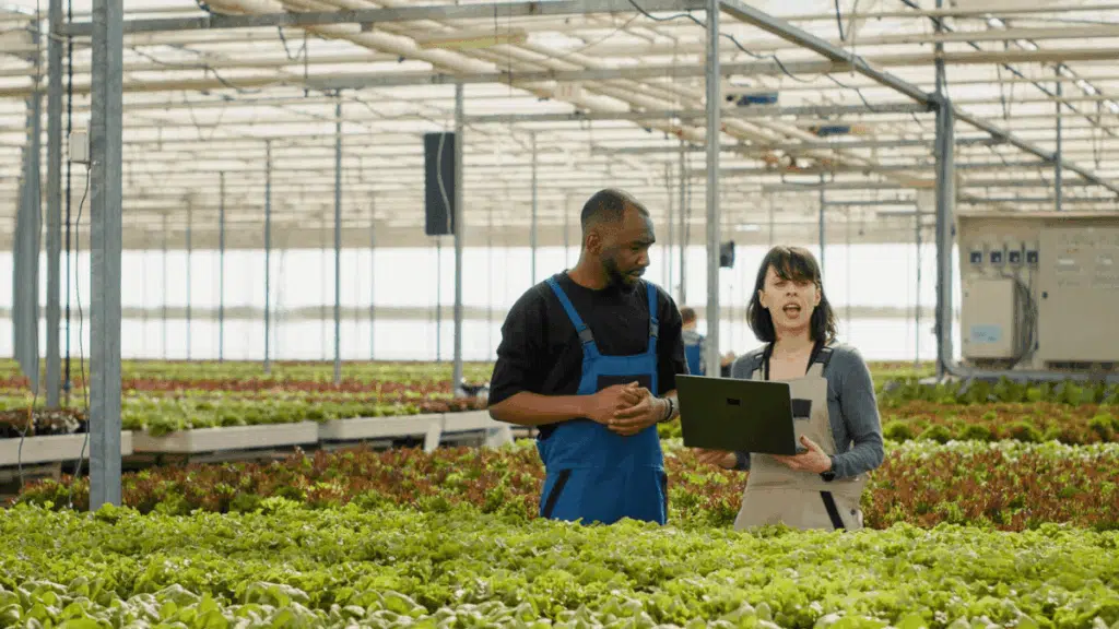 Workshop Assistant Vacancy at TWK Agri