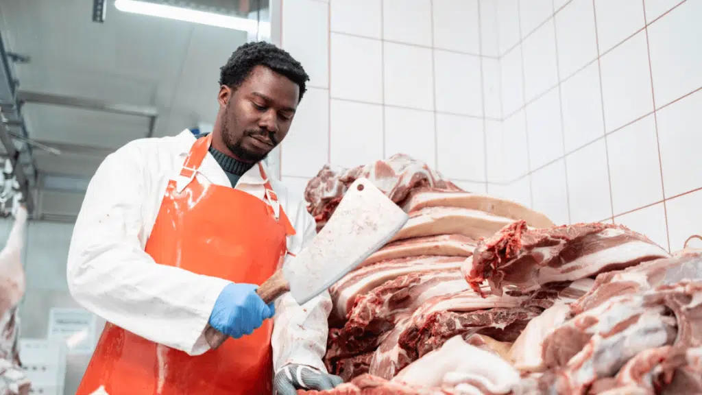 Pick n Pay MasterCut Programme 2025 / 2026